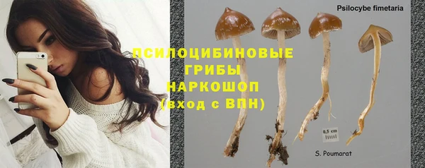 соль курить ск Бородино