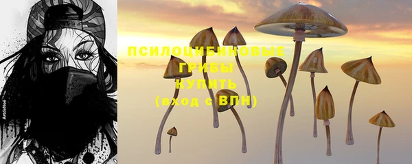 соль курить ск Бородино