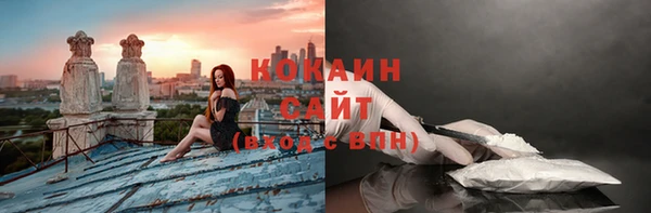 мдпв Бугульма