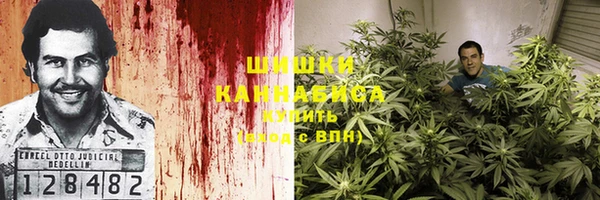 2c-b Бронницы