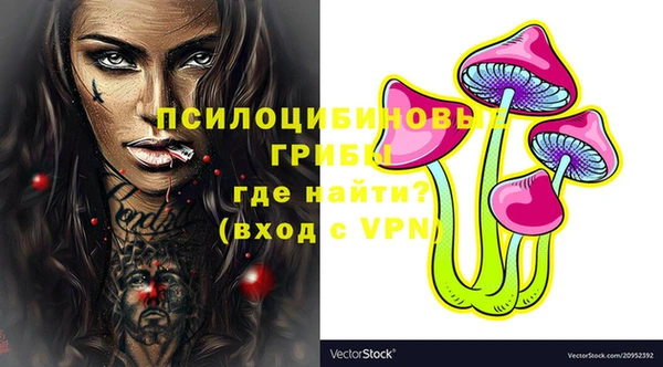 2c-b Бронницы