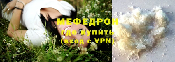 стаф Верея